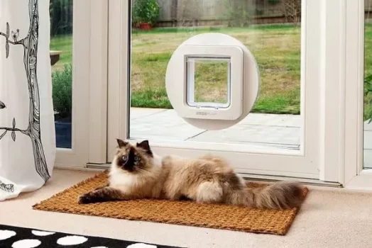 Comment installer une chatière sur un double vitrage ?