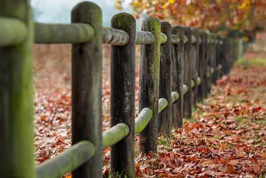 Les différents types de clôtures pour votre jardin avec leurs avantages et inconvénients