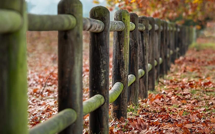 Les différents types de clôtures pour votre jardin avec leurs avantages et inconvénients