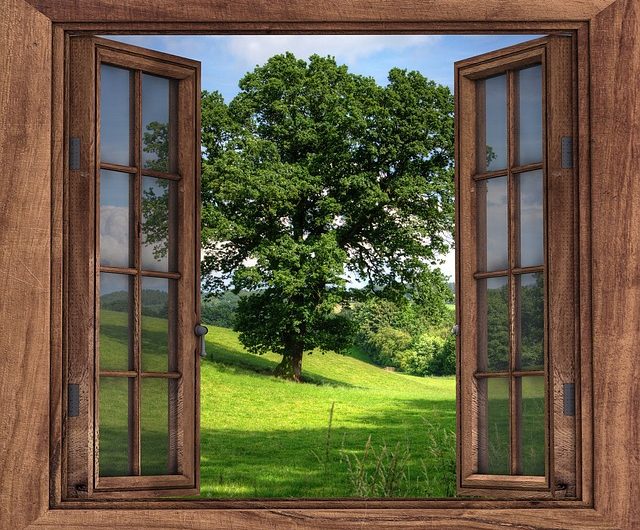 Les fenêtres en bois et la réduction du bruit : solutions pour une habitation paisible