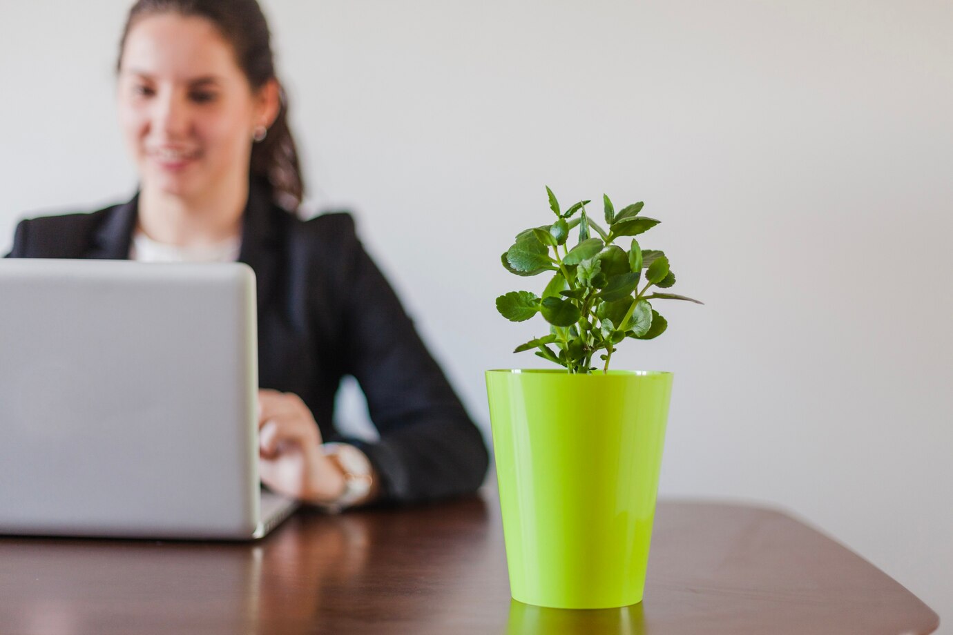 Plantes vertes parfaites pour votre bureau