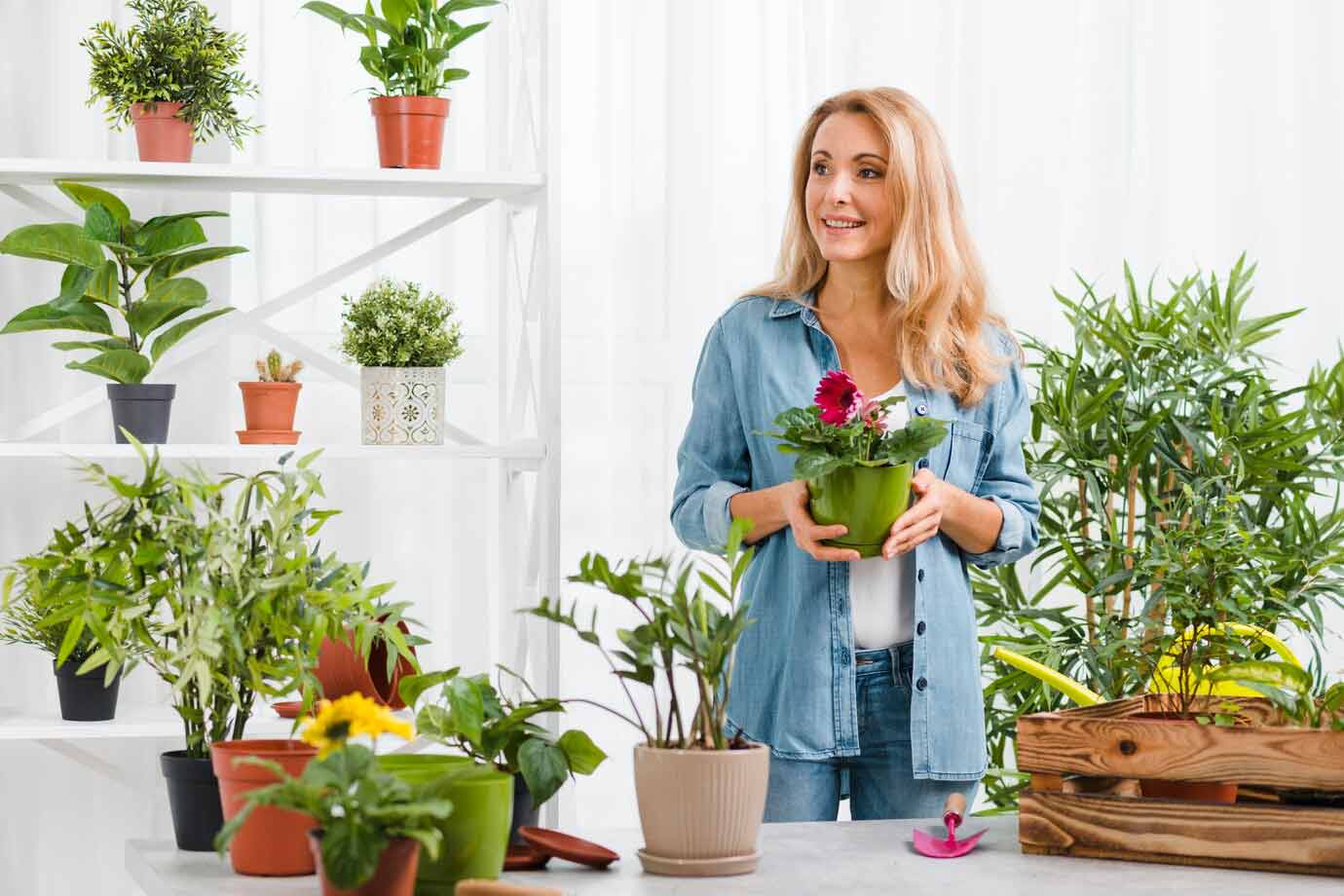 Apporter une touche de nature dans votre décoration intérieure