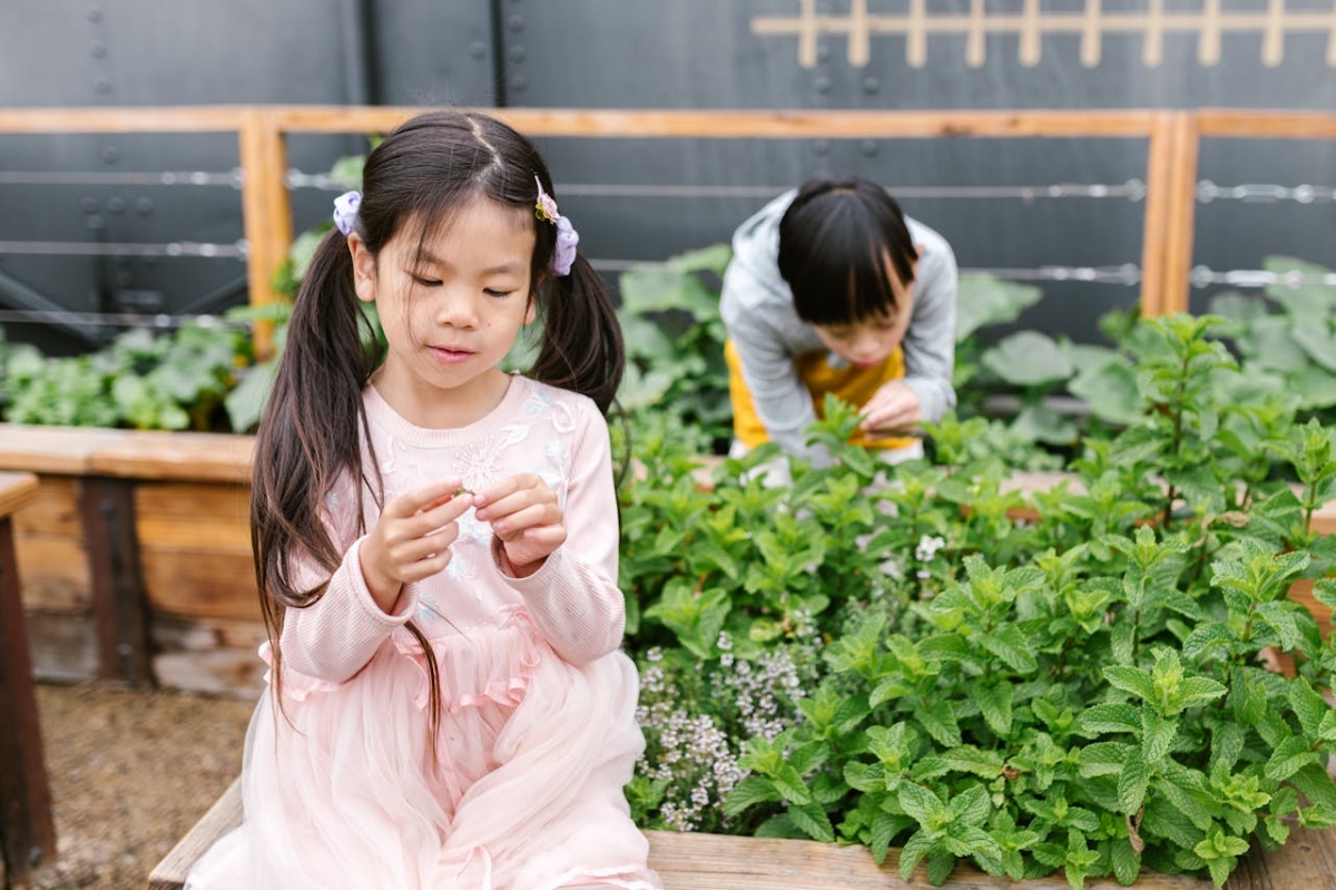 jardin scolaire