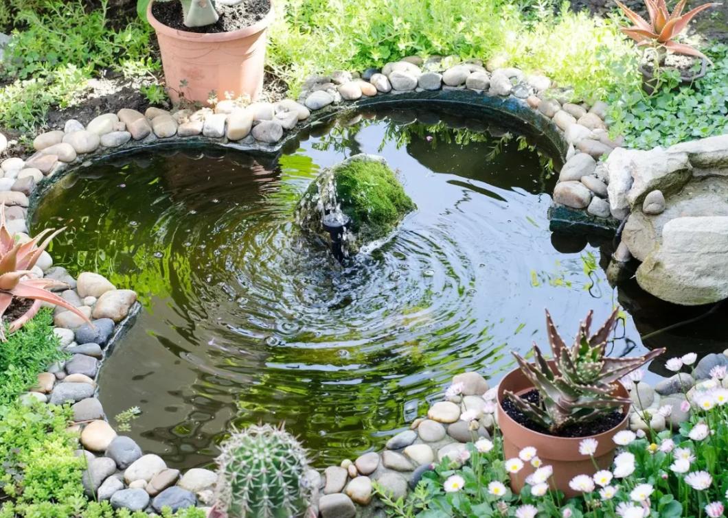 bassin dans votre jardin