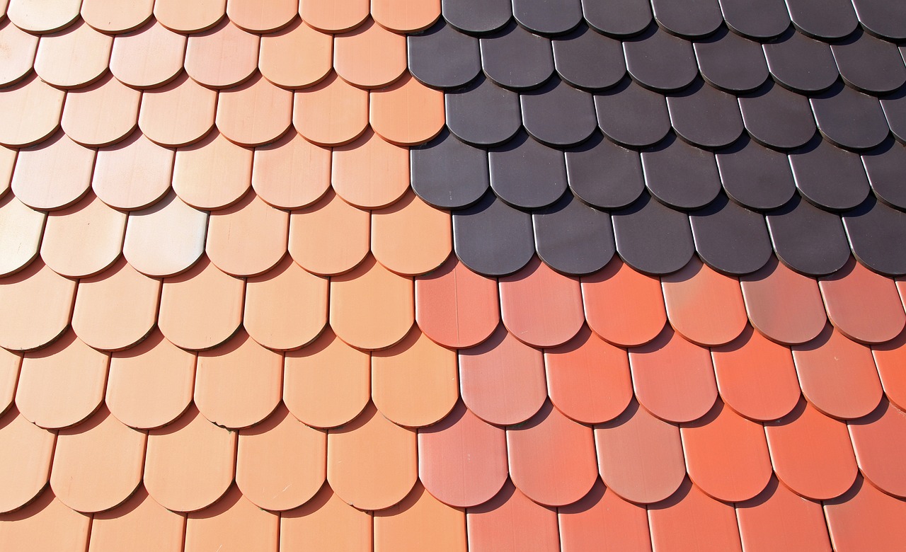découvrez nos services de toiture professionnels, adaptés à tous vos besoins en matière de rénovation et d'installation. que ce soit pour des travaux résidentiels ou commerciaux, notre équipe d'experts vous garantit qualité et durabilité.