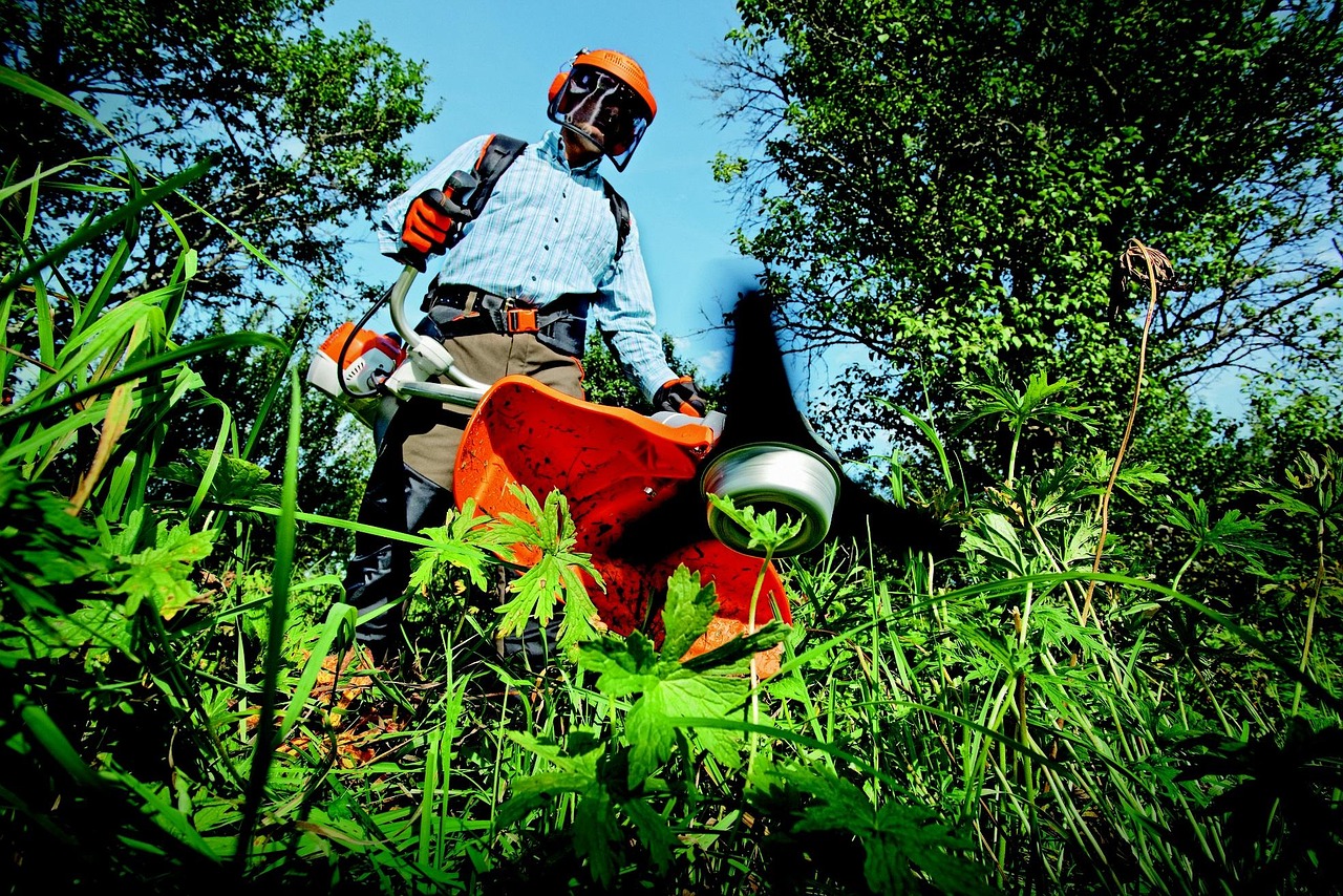 confiez l’entretien de votre jardin à des experts. nous proposons des services complets de maintenance de jardin pour préserver la beauté et la santé de vos espaces verts toute l’année.
