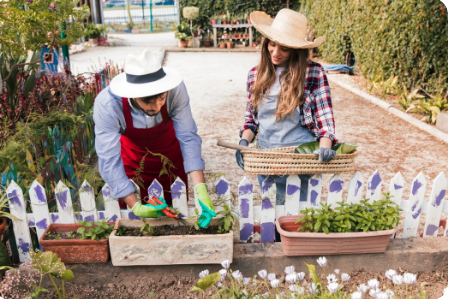 Pourquoi choisir un jardin potager pour votre famille ?