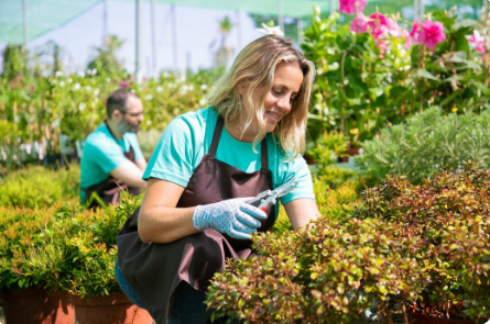 Pourquoi l’entretien ponctuel prévient les maladies végétales ?