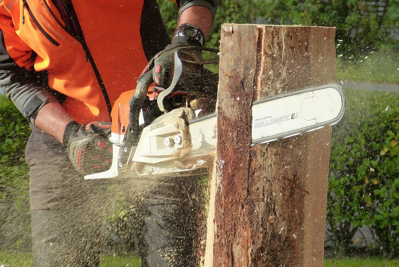 découvrez tout ce qu'il faut savoir sur le pruning : techniques, conseils pratiques et avantages pour favoriser la croissance et la santé de vos plantes ou arbres.