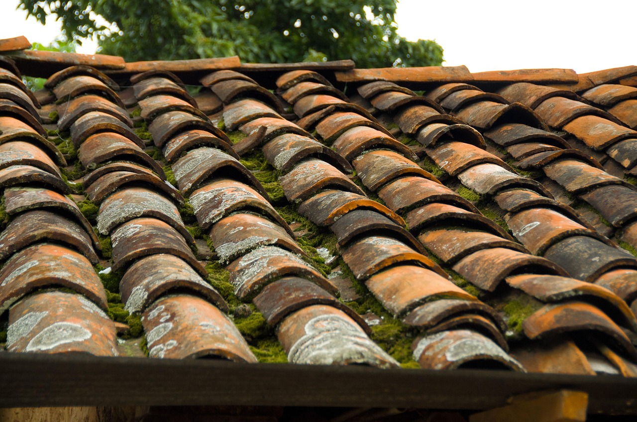 découvrez les différents types de matériaux de toiture, leurs avantages, inconvénients et conseils pour choisir la meilleure option pour votre maison.