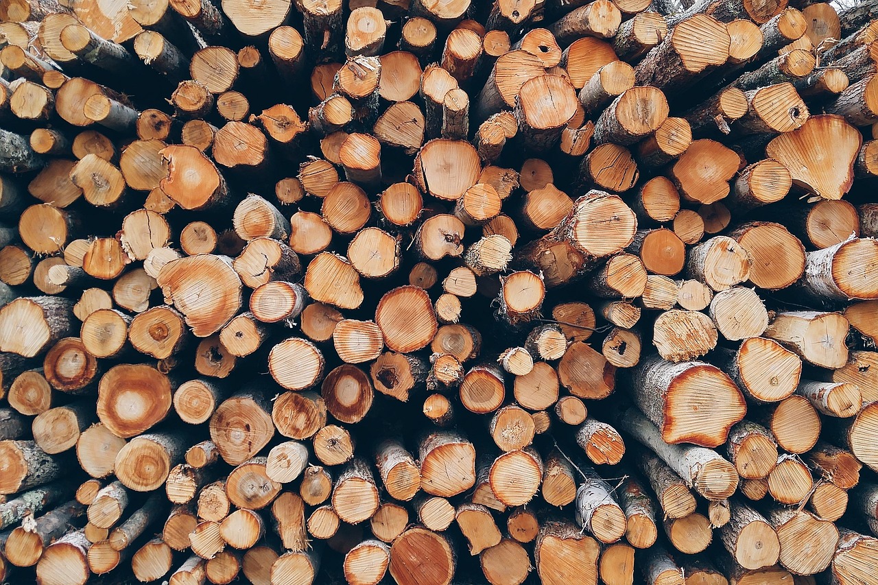 découvrez tout sur la foresterie : gestion durable des forêts, conservation de la biodiversité, techniques d'exploitation et enjeux environnementaux.