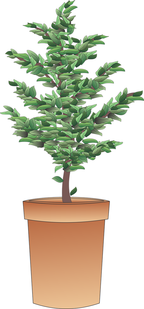 service professionnel de taille de haies pour un entretien soigné et esthétique de votre jardin. experts en coupe précise et nettoyage efficace.
