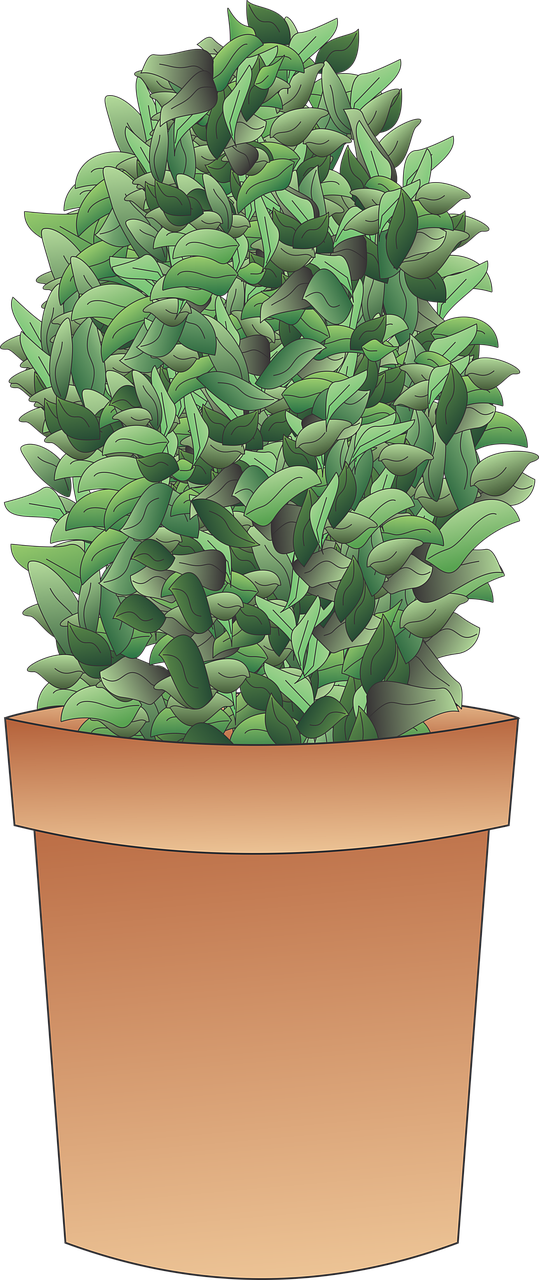 découvrez nos services professionnels de taille de haies pour un jardin parfaitement entretenu et esthétique toute l'année.