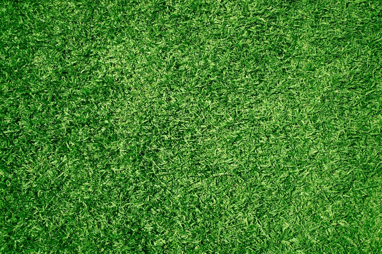 entretien paysager professionnel pour un jardin impeccable toute l'année : tonte, taille, nettoyage et soins des végétaux adaptés à vos besoins.