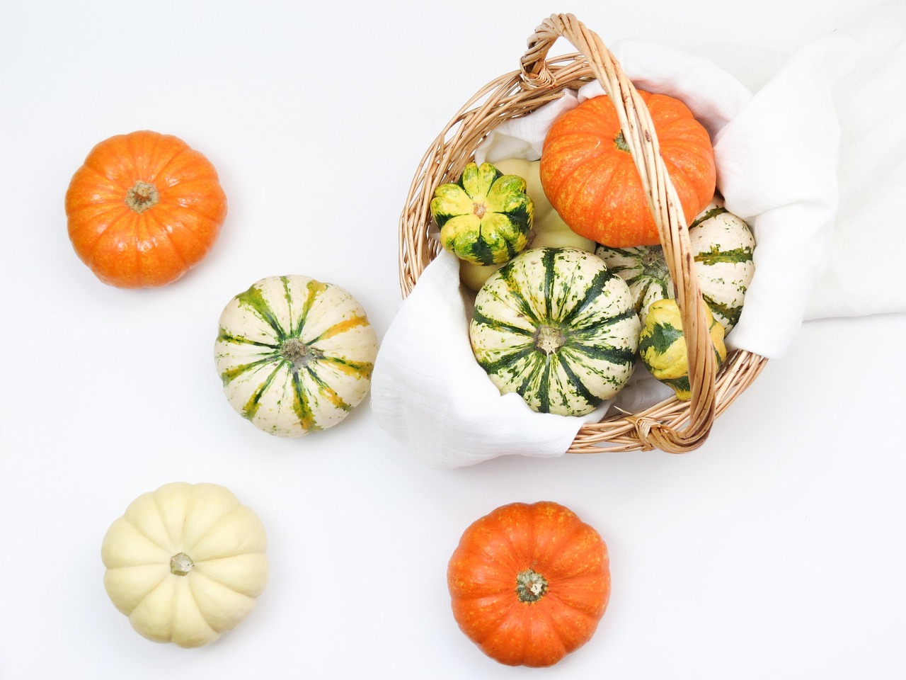 découvrez nos variétés de légumes biologiques, cultivées naturellement pour une alimentation saine et respectueuse de l'environnement.
