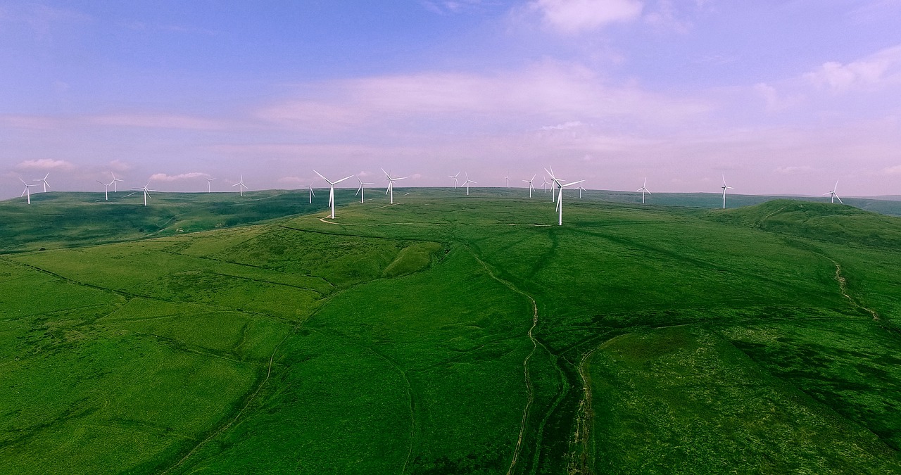 découvrez l'importance des espaces verts durables pour préserver l'environnement, améliorer la qualité de vie et promouvoir un avenir écologique.