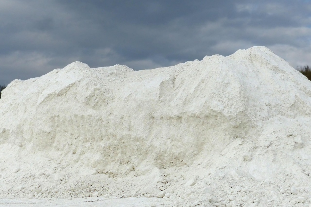 service professionnel d'enlèvement d'arbres pour un jardin sûr et esthétique. experts en élagage et abattage, intervention rapide et sécurisée.