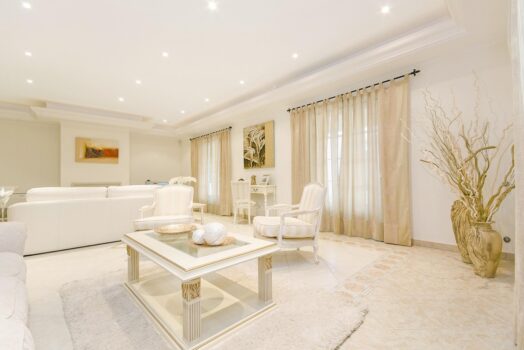 Le drone, le nouvel outil indispensable pour un reportage photo immobilier complet