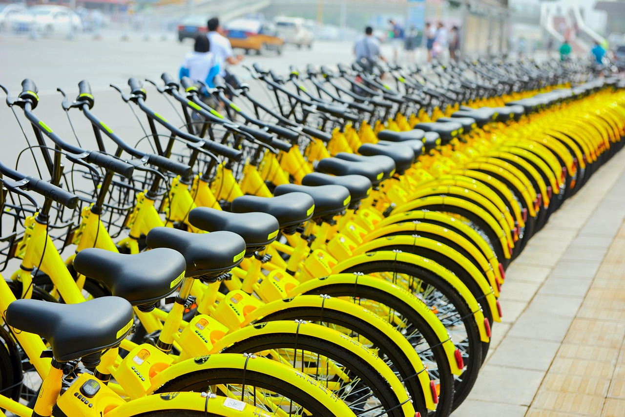 louez un vélo facilement pour explorer la ville ou la nature. choix varié de vélos, tarifs attractifs et service rapide pour une expérience de location optimale.
