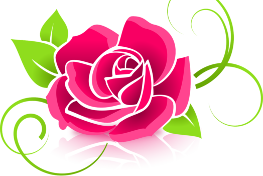 Création de jardin : planifier et concevoir un espace harmonieux et fonctionnel