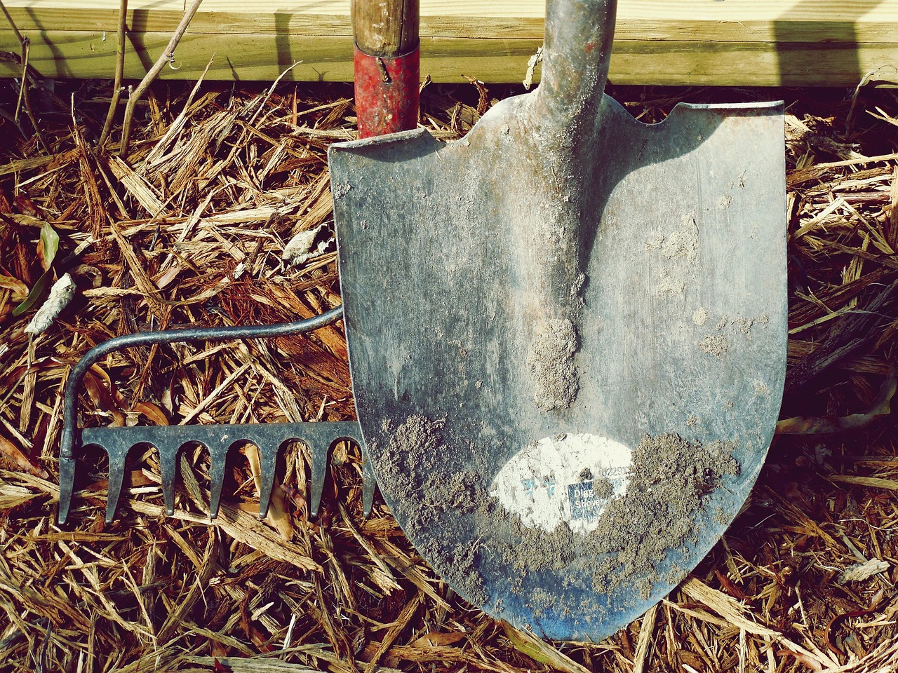 découvrez notre sélection d'outils de jardinage de qualité pour entretenir facilement votre jardin et faire pousser vos plantes en toute simplicité.