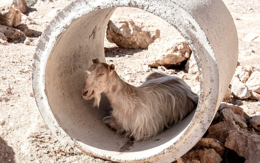 Pose de film thermorétractable : atouts pour protéger structures et équipements extérieurs