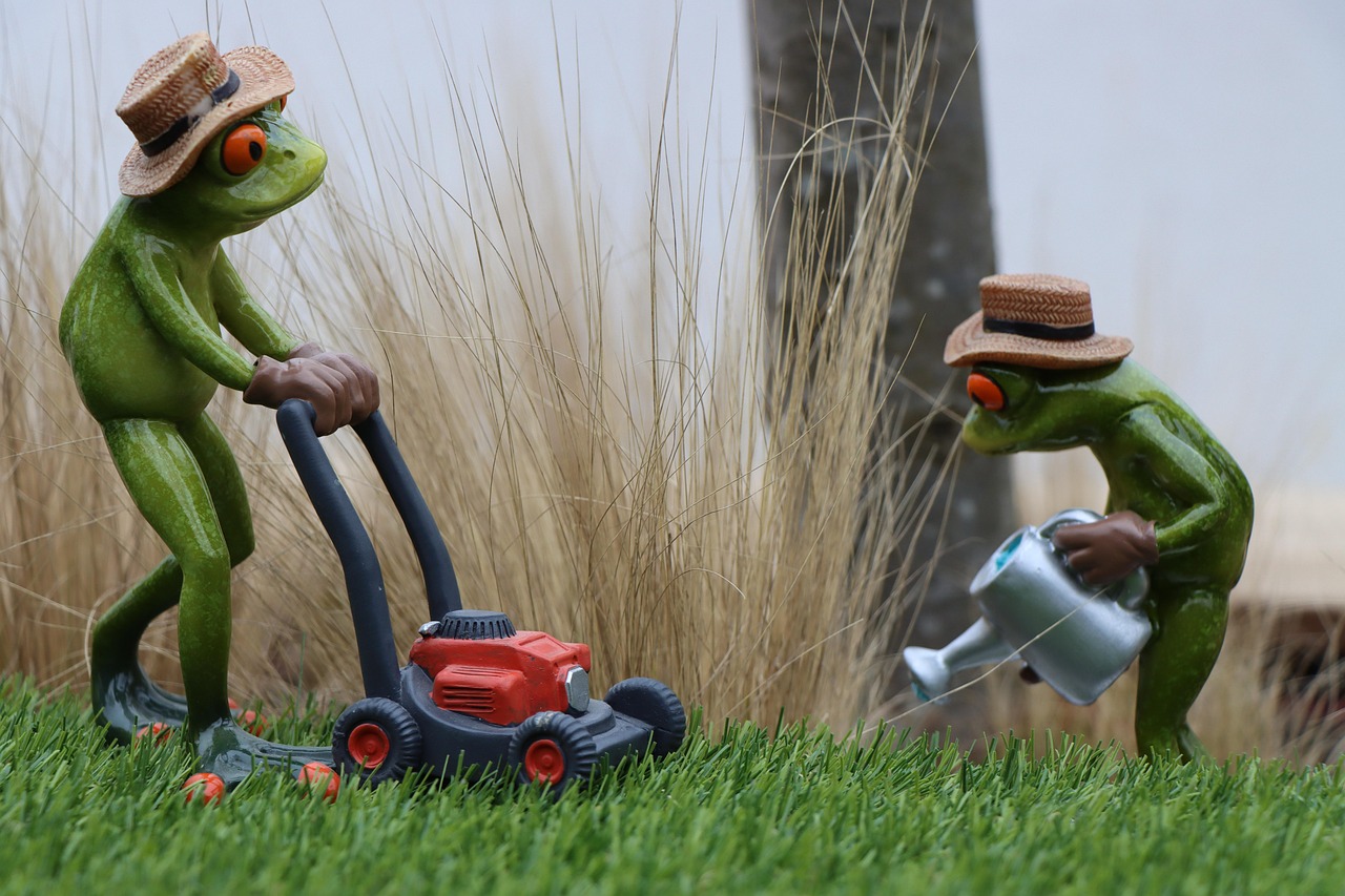 services professionnels d'entretien de pelouse pour un jardin toujours propre et bien soigné toute l'année.