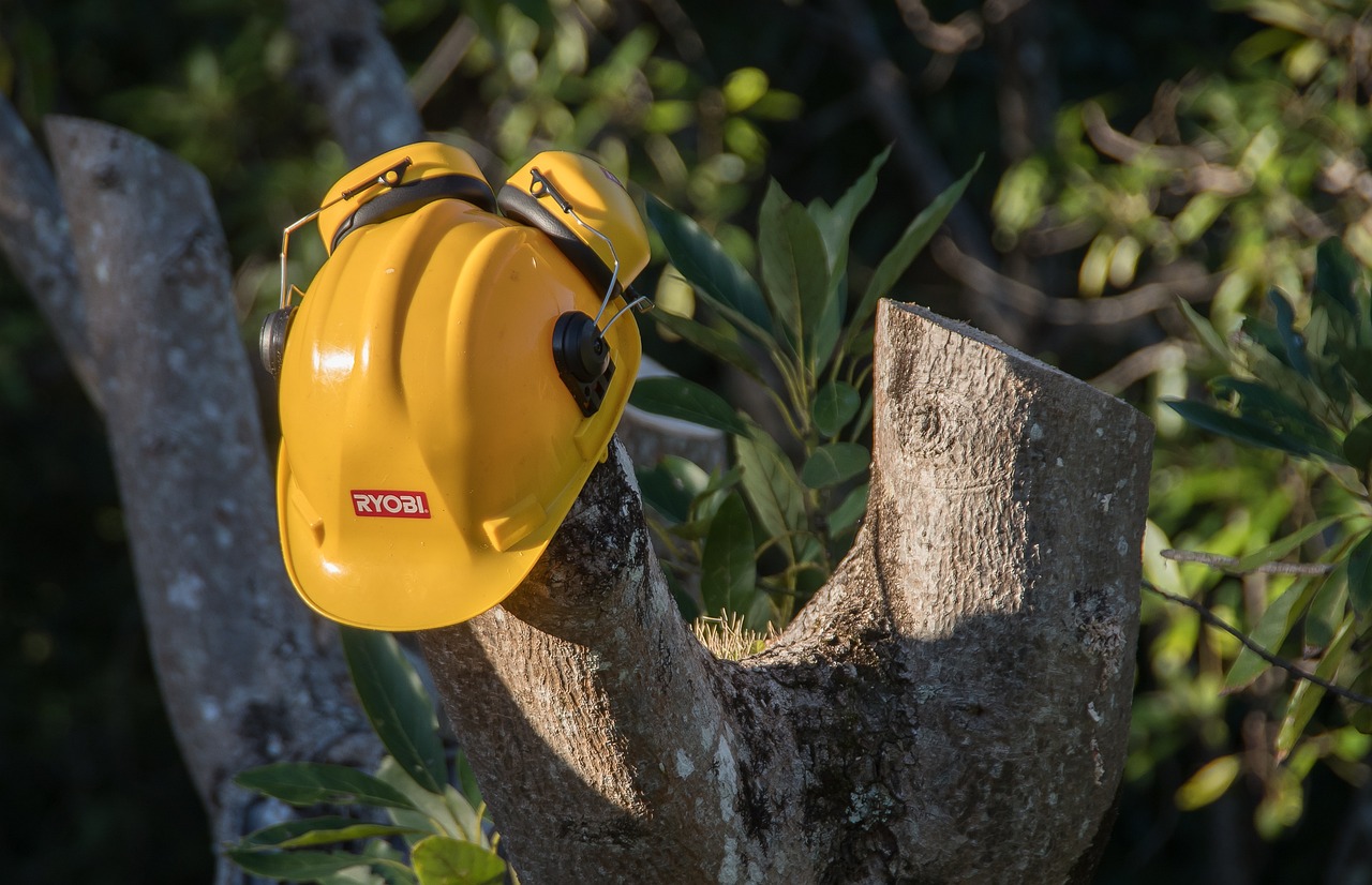 découvrez les meilleures techniques d'élagage des arbres pour assurer leur santé, sécurité et esthétique tout en favorisant une croissance optimale.