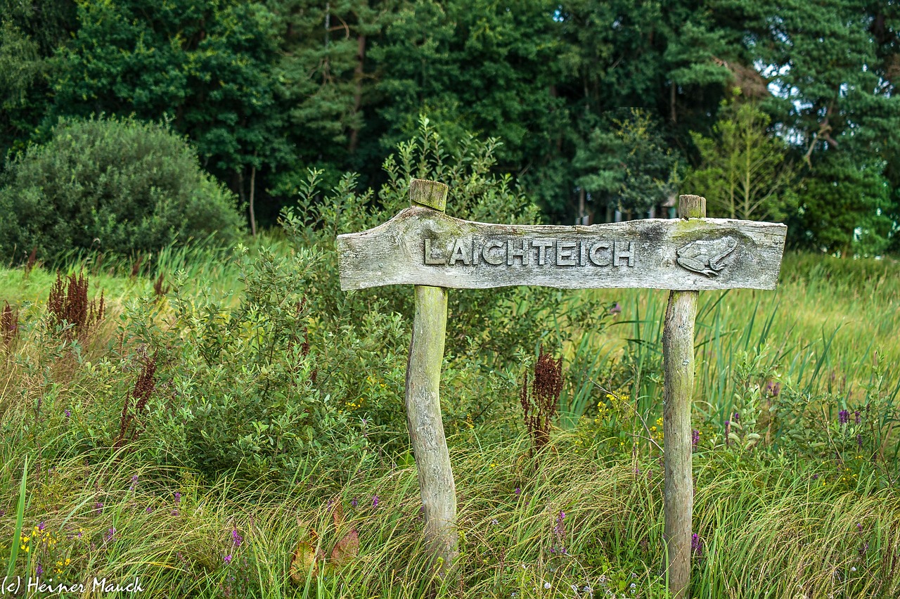 découvrez le fluide de chape autonivelant pour une finition lisse, rapide et durable de vos sols.