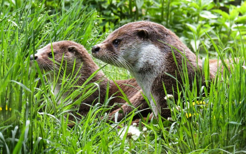 Entretien facile chambre enfant : feutre et peinture