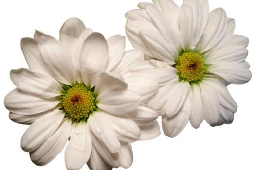 Tuyauterie cuivre apparente : comment l’intégrer à une déco industrielle