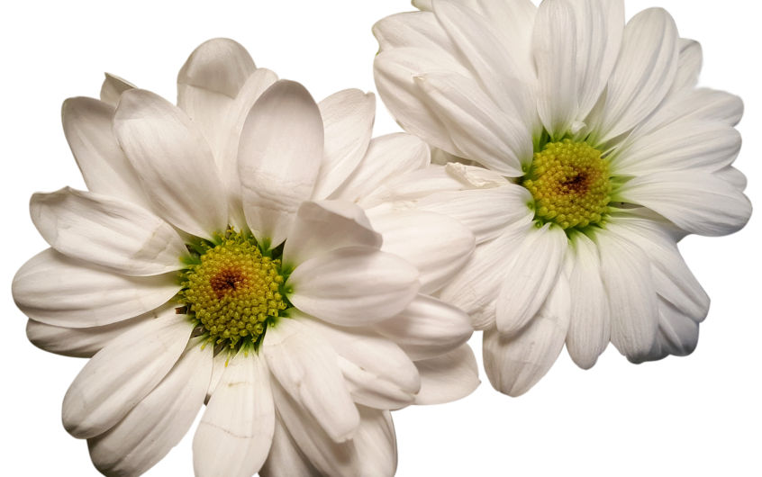 Tuyauterie cuivre apparente : comment l’intégrer à une déco industrielle