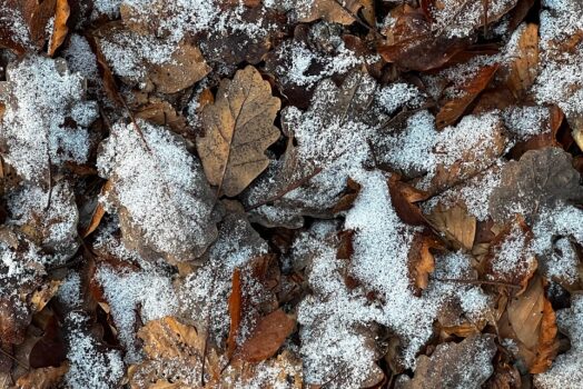 Décapage de sol : choisir le bon disque abrasif