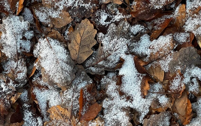 Décapage de sol : choisir le bon disque abrasif