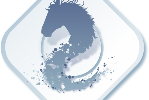 Laine minérale et humidité : les précautions de mise en œuvre