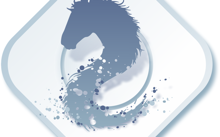 Laine minérale et humidité : les précautions de mise en œuvre