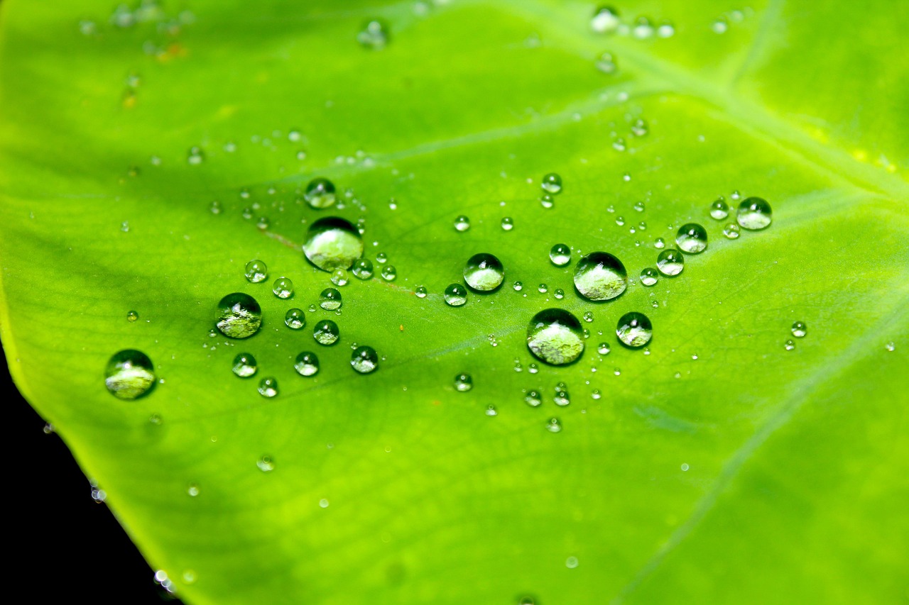 découvrez nos solutions efficaces d'étanchéité pour protéger vos surfaces contre l'eau et l'humidité. produits et conseils pour une imperméabilisation durable.