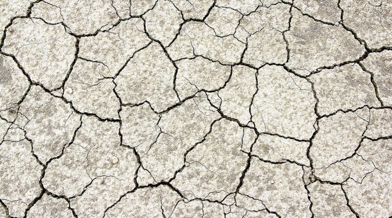 découvrez comment préparer un sol argileux : améliorez son drainage, sa structure et sa fertilité pour favoriser la croissance de vos plantes.