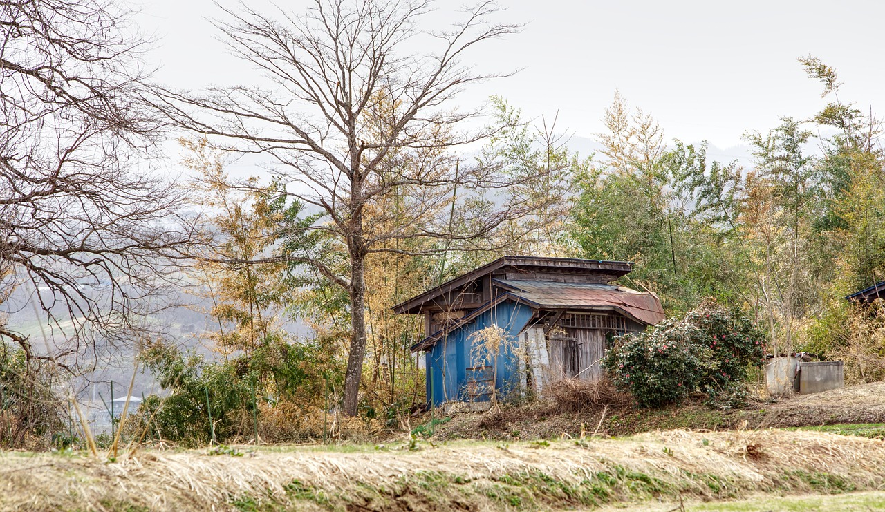 découvrez l’abri de jardin avec auvent latéral, idéal pour ranger vos outils et profiter d’un espace extérieur abrité et polyvalent.